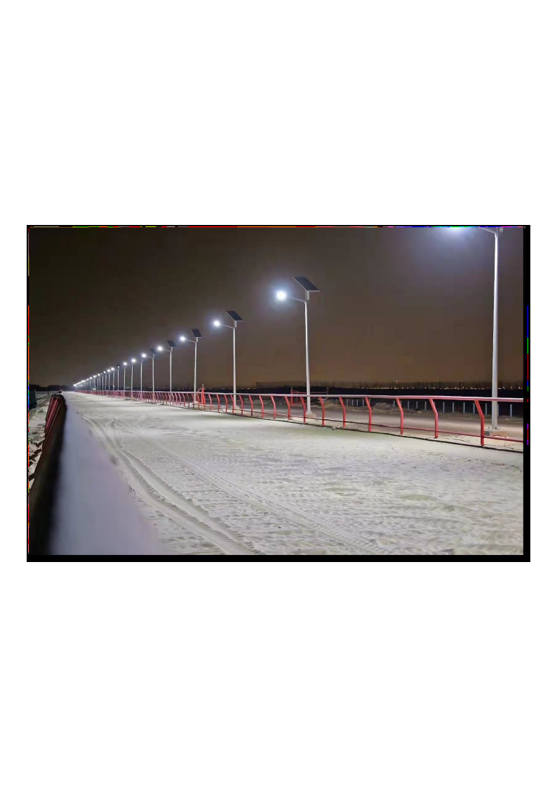 Hamad Falcon solar poles